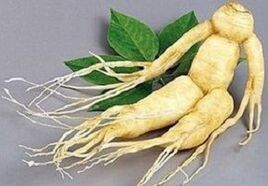 Root of ginseng to make infusion