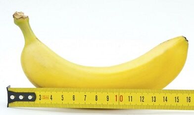 Optimal penis size